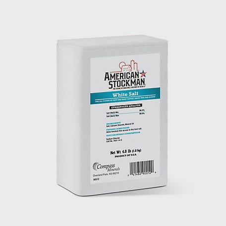 Plain White Salt Brick 4#