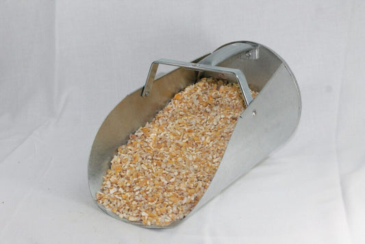 Corn Chops