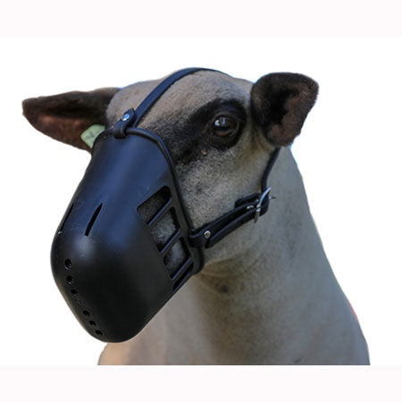 Sullivans Heavy Plastic Sheep Muzzle