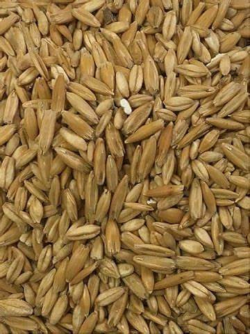 Steamrolled Oats