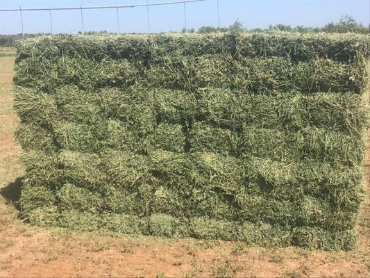 Alfalfa Square Hay