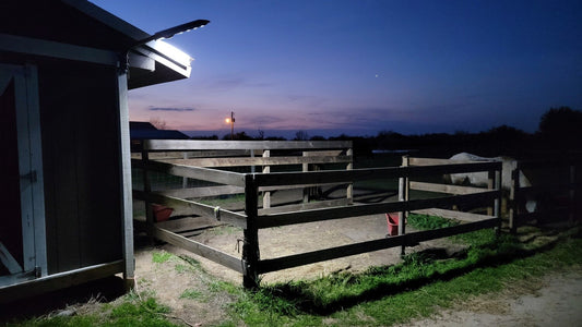Ranch Hand 120w Outbuilding Solar Light